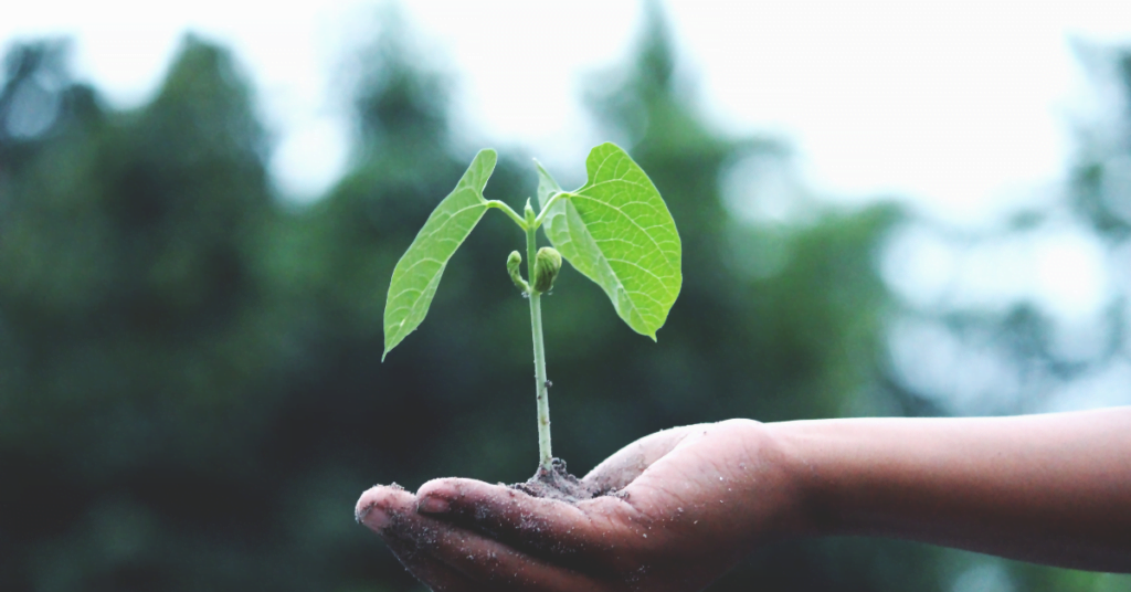 Benefits of Server Virtualization: Energy Efficiency